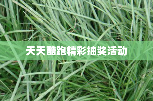天天酷跑精彩抽奖活动图片