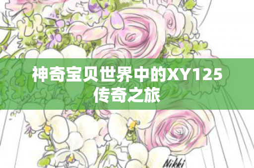神奇宝贝世界中的XY125传奇之旅图片