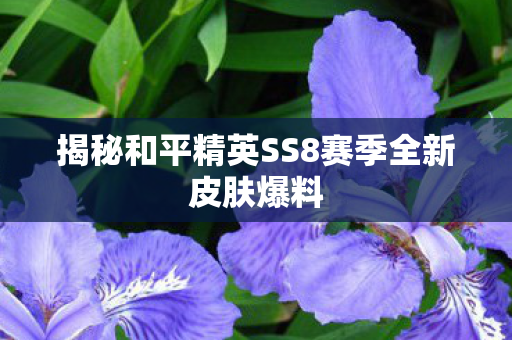 揭秘和平精英SS8赛季全新皮肤爆料图片