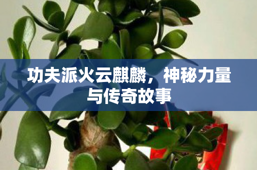 神秘力量与传奇故事图片