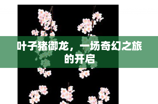 一场奇幻之旅的开启图片