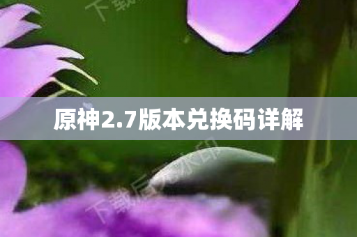 7版本兑换码详解图片