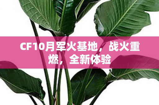 CF10月军火基地图片