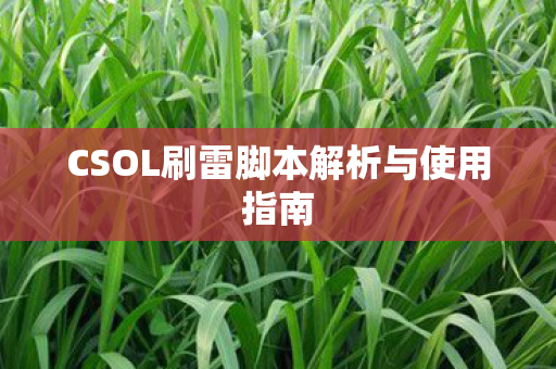 CSOL刷雷脚本解析与使用指南图片