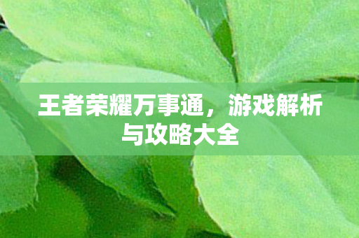 游戏解析与攻略大全图片