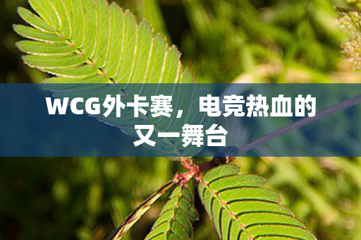 电竞热血的又一舞台图片