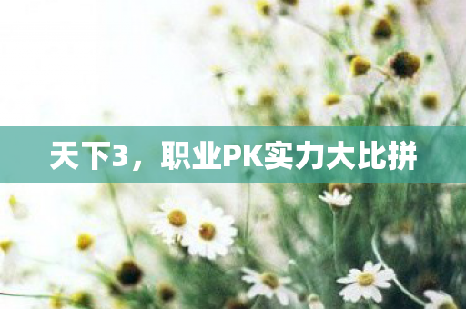 职业PK实力大比拼图片