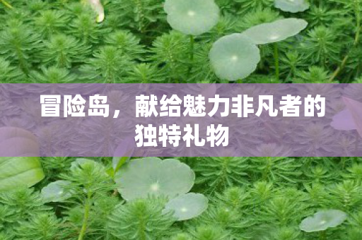 献给魅力非凡者的独特礼物图片