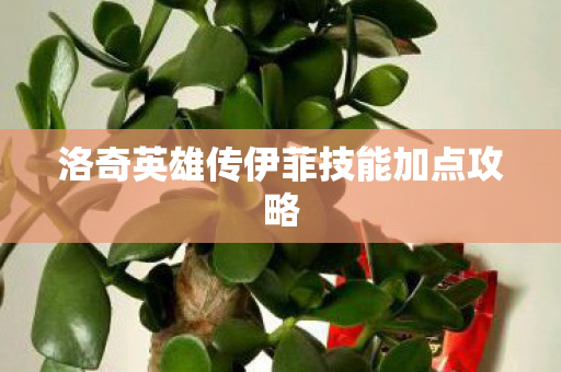 洛奇英雄传伊菲技能加点攻略图片