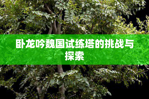 卧龙吟魏国试练塔的挑战与探索图片