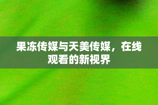 果冻传媒与天美传媒图片