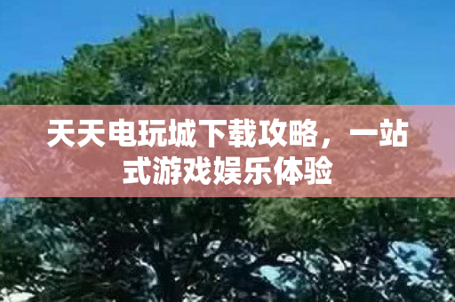 天天电玩城下载攻略图片