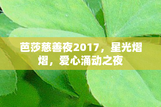 芭莎慈善夜2017图片