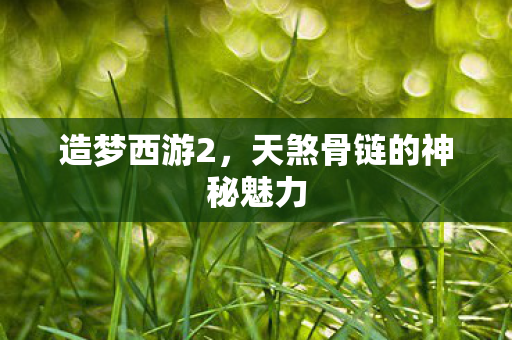 天煞骨链的神秘魅力图片
