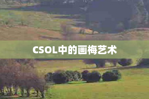 CSOL中的画梅艺术图片