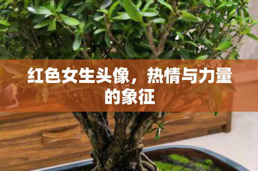 热情与力量的象征图片