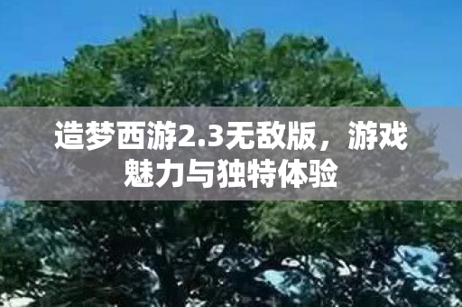 游戏魅力与独特体验图片