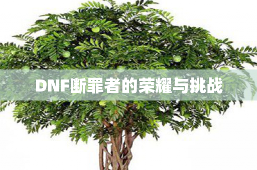 DNF断罪者的荣耀与挑战图片