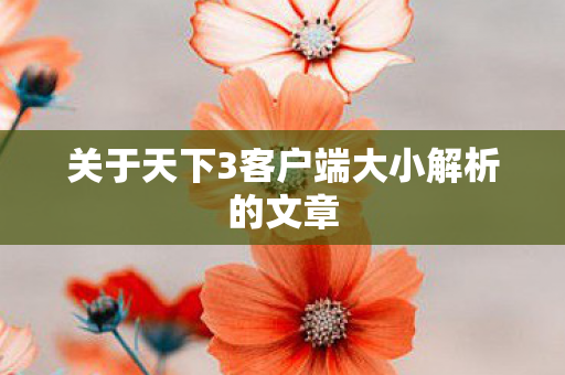 关于天下3客户端大小解析的文章图片