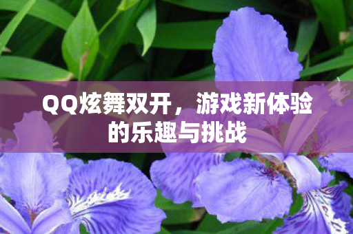 游戏新体验的乐趣与挑战图片