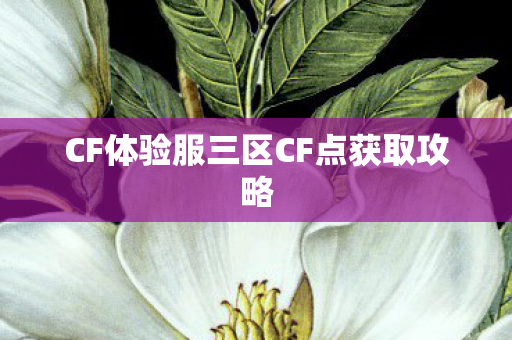 CF体验服三区CF点获取攻略图片