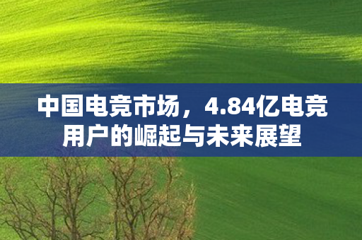84亿电竞用户的崛起与未来展望图片