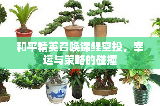 和平精英召唤锦鲤空投图片