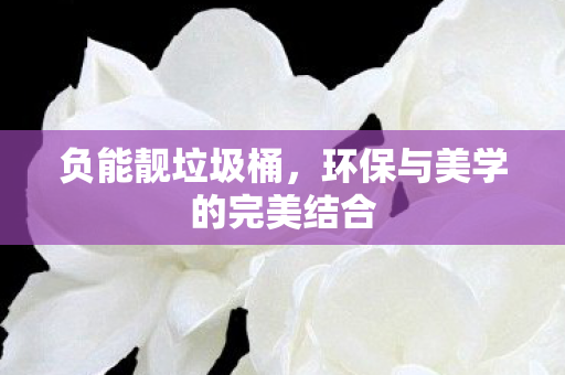 环保与美学的完美结合图片