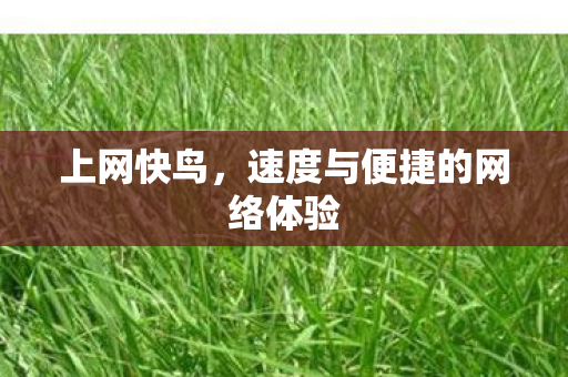 速度与便捷的网络体验图片