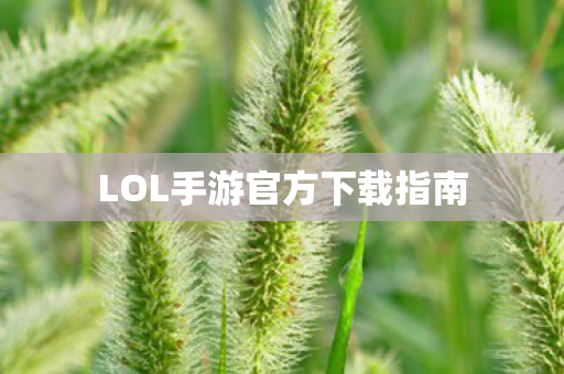 LOL手游官方下载指南图片