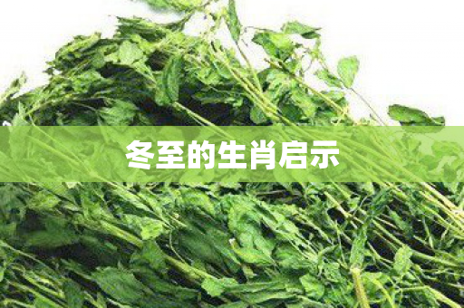 冬至的生肖启示图片