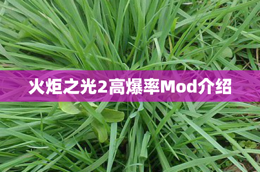 火炬之光2高爆率Mod介绍图片