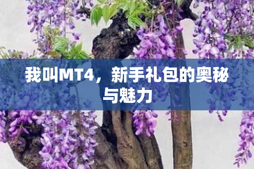 新手礼包的奥秘与魅力图片