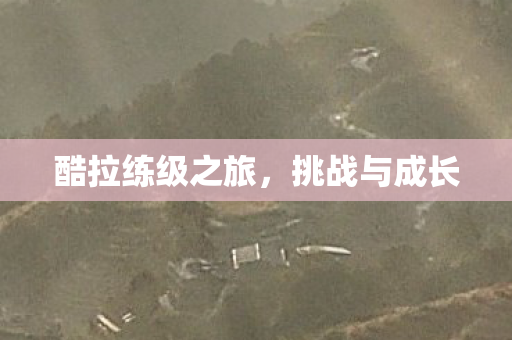 酷拉练级之旅图片