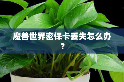 魔兽世界密保卡丢失怎么办图片