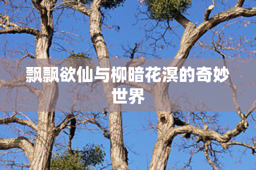飘飘欲仙与柳暗花溟的奇妙世界图片