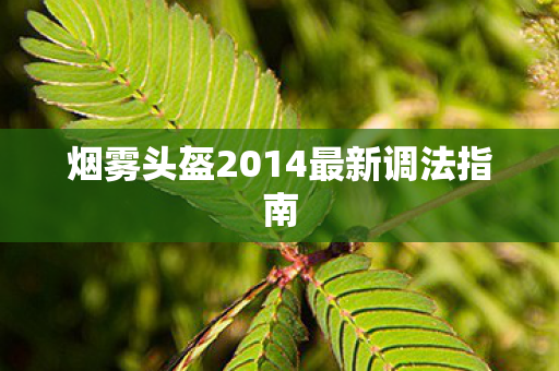 烟雾头盔2014最新调法指南图片