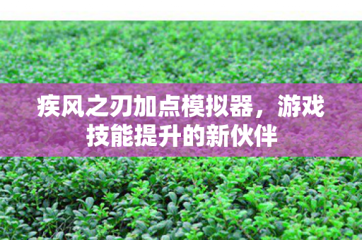 游戏技能提升的新伙伴图片