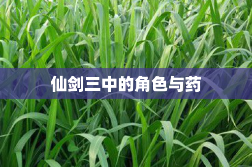 仙剑三中的角色与药图片