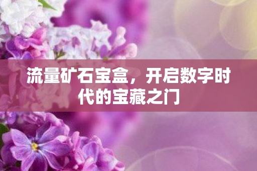 开启数字时代的宝藏之门图片