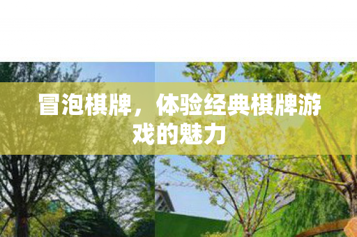 体验经典棋牌游戏的魅力图片