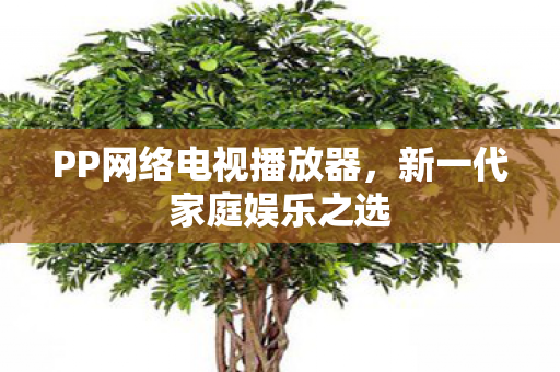 PP网络电视播放器图片