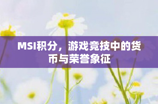 游戏竞技中的货币与荣誉象征图片
