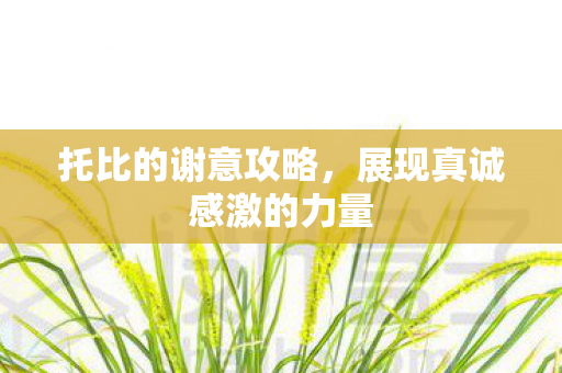 展现真诚感激的力量图片