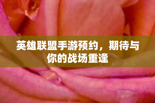 期待与你的战场重逢图片