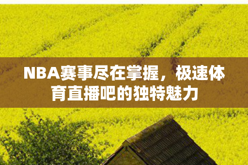 极速体育直播吧的独特魅力图片
