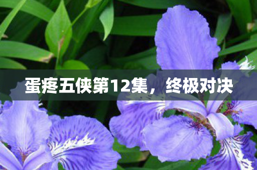 蛋疼五侠第12集图片
