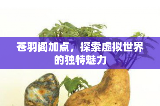 探索虚拟世界的独特魅力图片