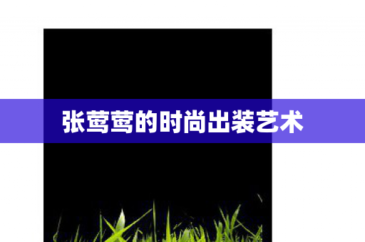 张莺莺的时尚出装艺术图片