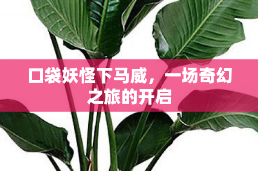 一场奇幻之旅的开启图片